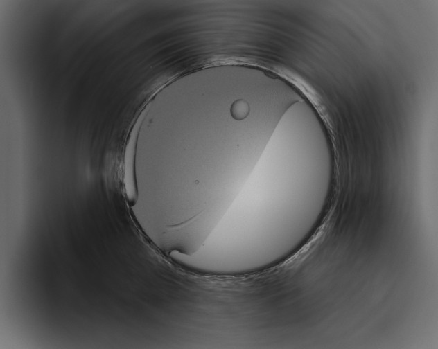 X0000094790809200712141636