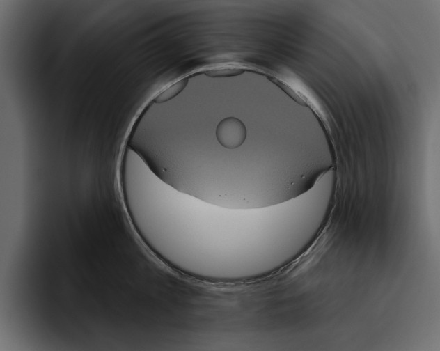 X0000094790813200712141636