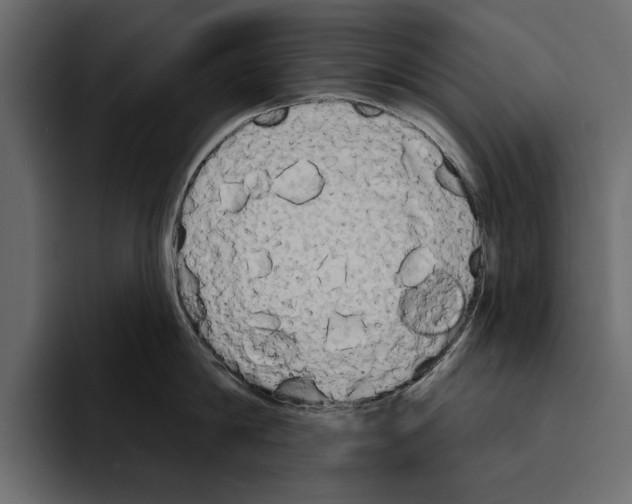 X0000094790814200712141636