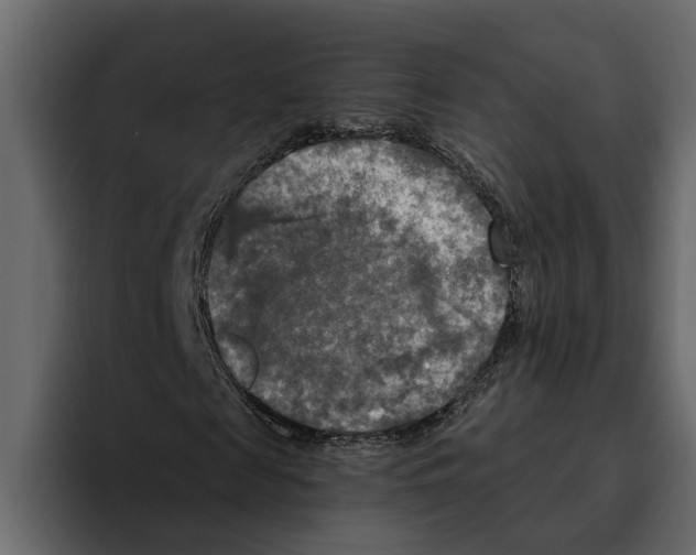 X0000094790817200712141636