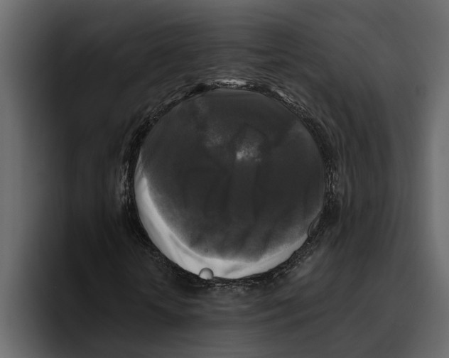 X0000094790818200712141636