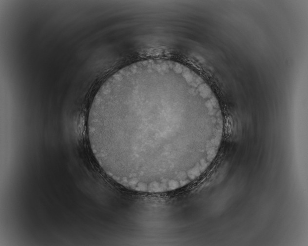 X0000094790820200712141636