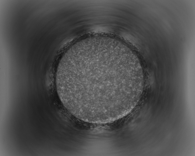 X0000094790824200712141636