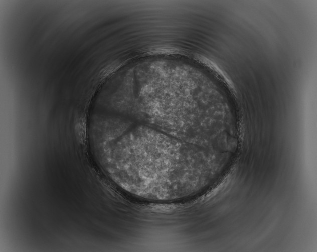 X0000094790825200712141636