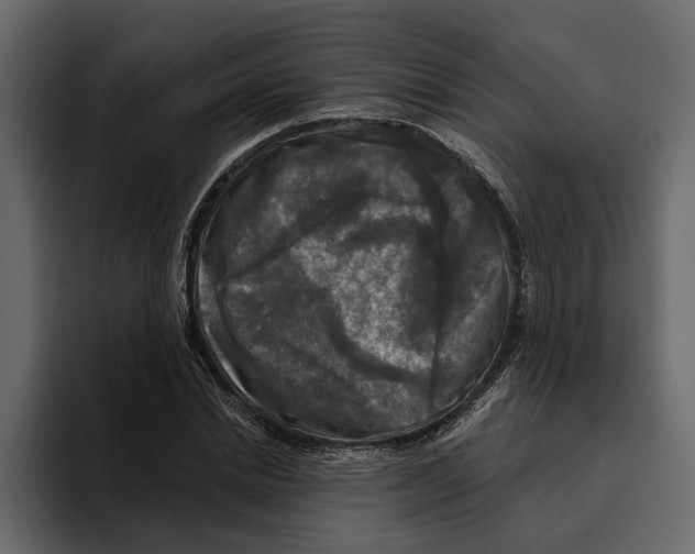 X0000094790830200712141636