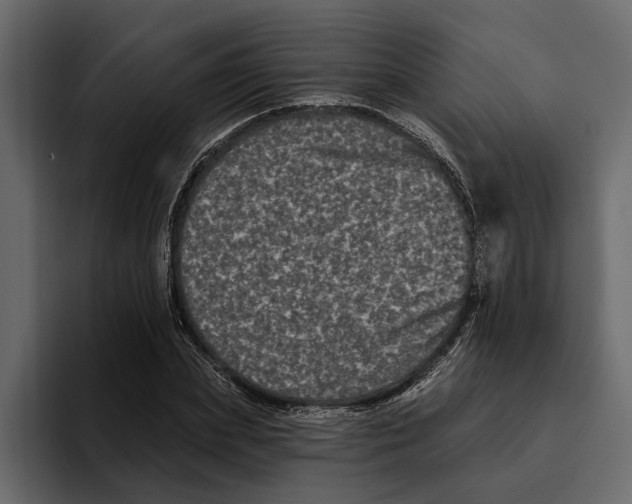 X0000094790831200712141636