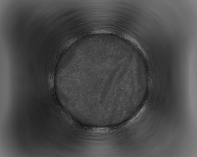 X0000094790833200712141636