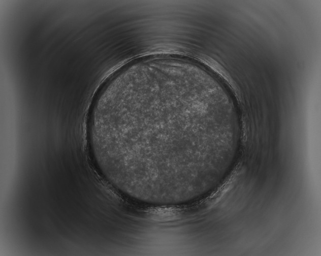 X0000094790834200712141636