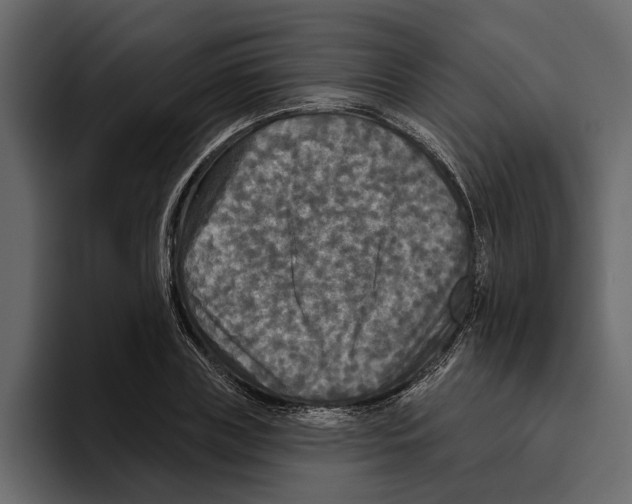 X0000094790835200712141636