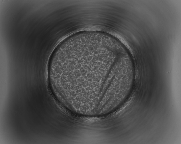 X0000094790837200712141636