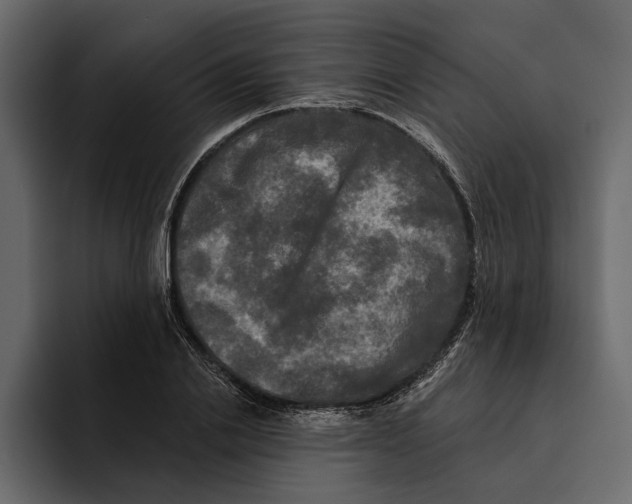 X0000094790838200712141636