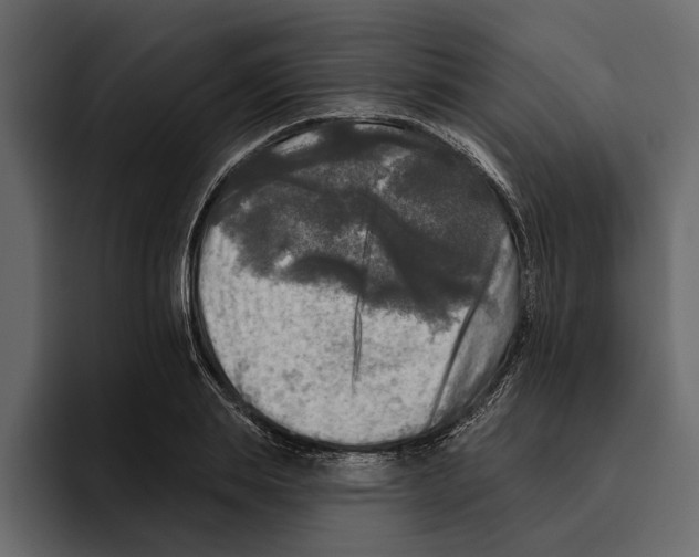 X0000094790839200712141636