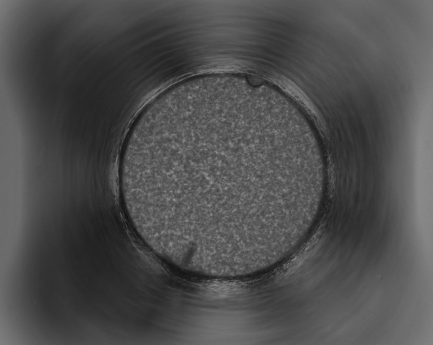 X0000094790842200712141636