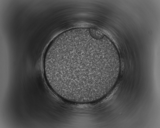 X0000094790843200712141636