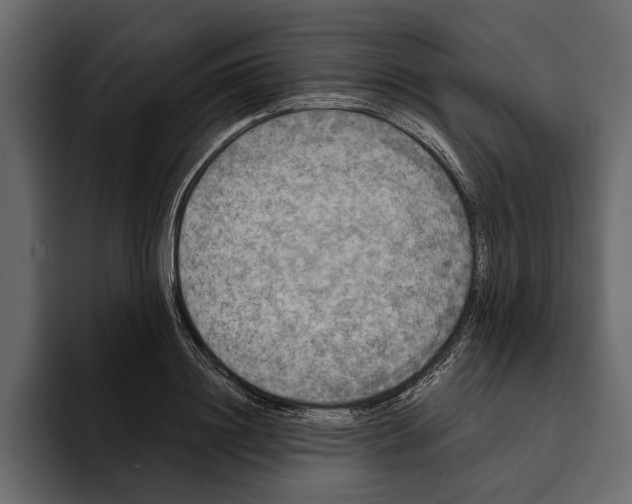 X0000094790844200712141636