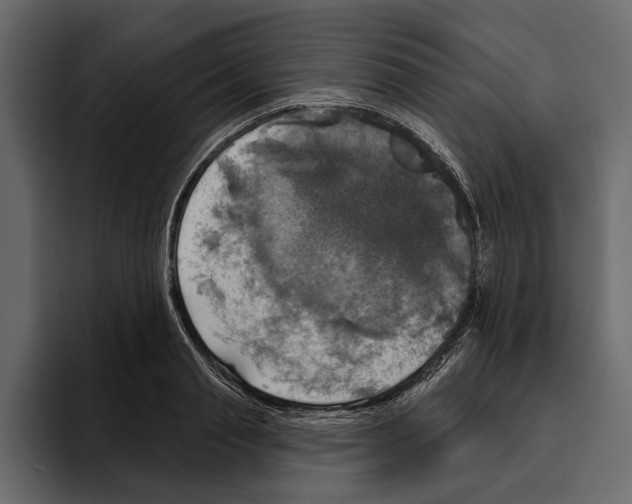 X0000094790845200712141636