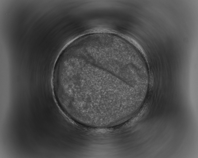 X0000094790847200712141636