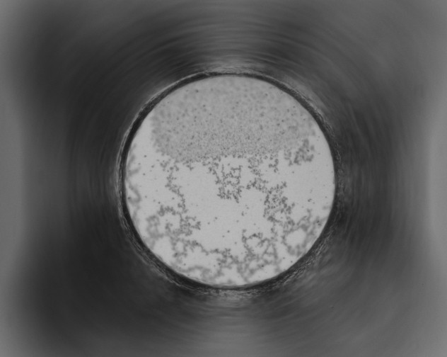 X0000094790848200712141636