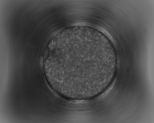 X0000094790849200712141636