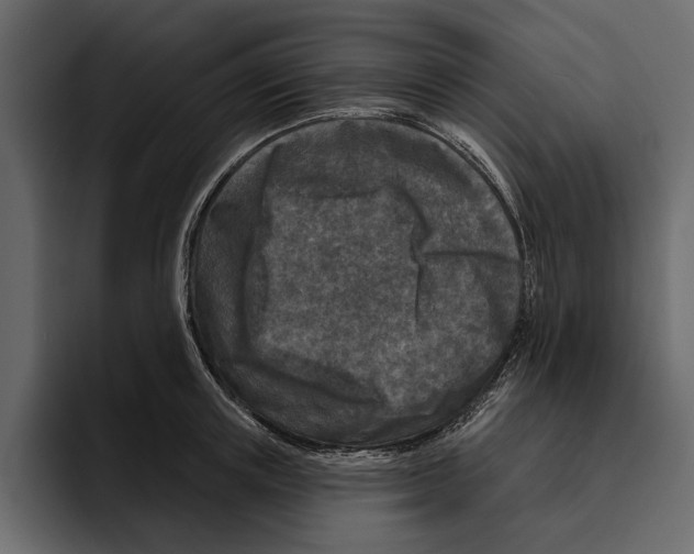 X0000094790851200712141636