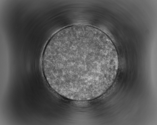 X0000094790856200712141636