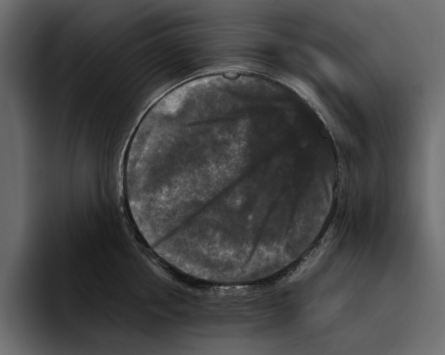 X0000094790858200712141636