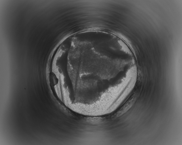 X0000094790859200712141636