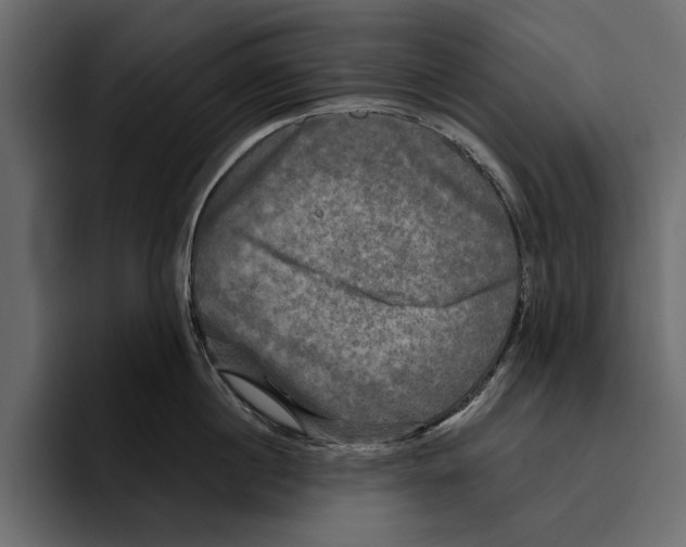 X0000094790860200712141636