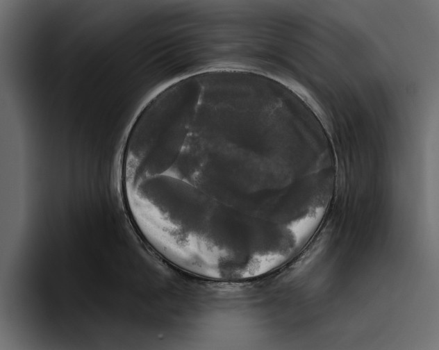 X0000094790862200712141636