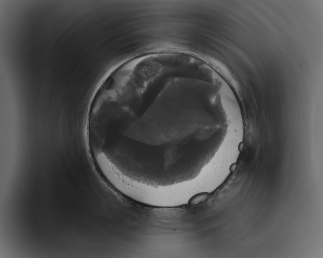 X0000094790863200712141636