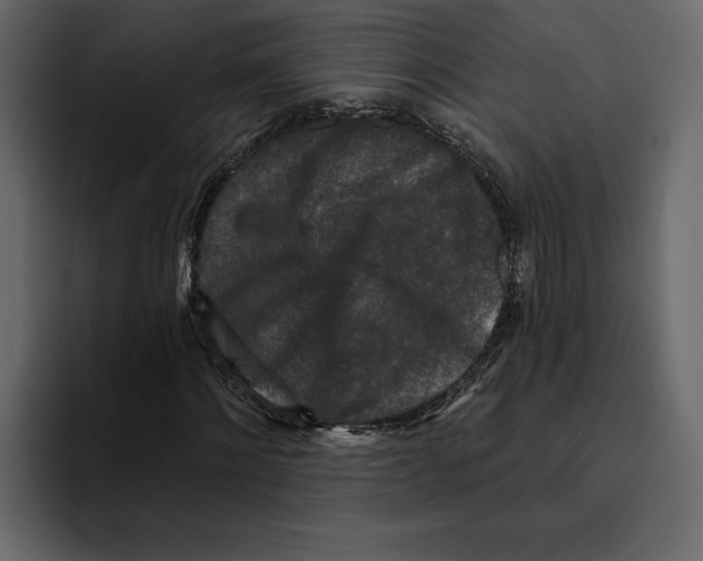 X0000094790868200712141636