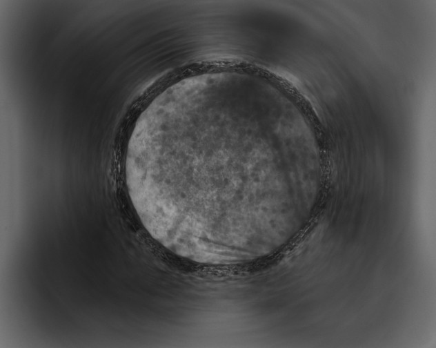 X0000094790871200712141636