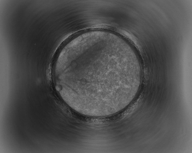 X0000094790875200712141636