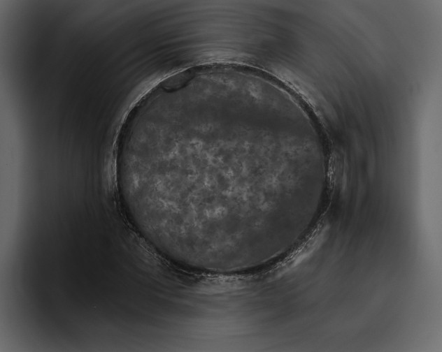 X0000094790877200712141636