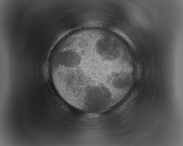 X0000094790878200712141636