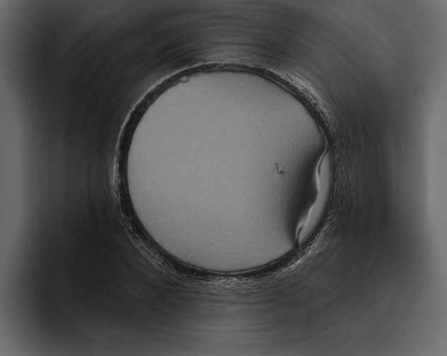 X0000094790880200712141635