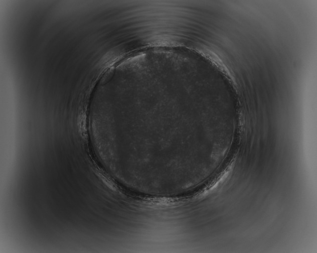 X0000094790881200712141635