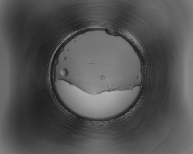 X0000094790884200712141635