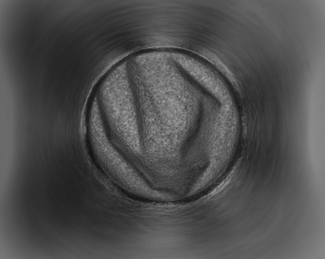 X0000094790885200712141635