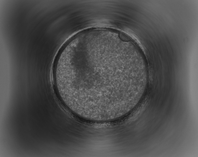 X0000094790887200712141635