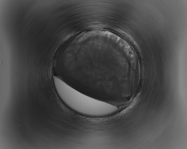 X0000094790889200712141635