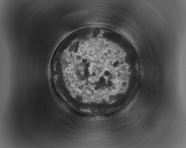 X0000094790891200712141635