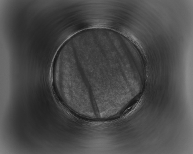 X0000094790892200712141635