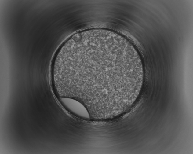 X0000094790894200712141635