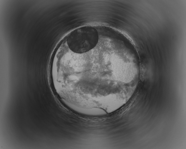 X0000094790895200712141635