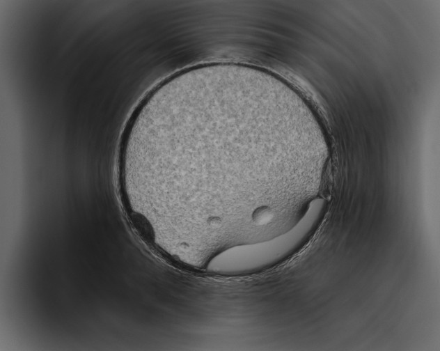 X0000094790896200712141635