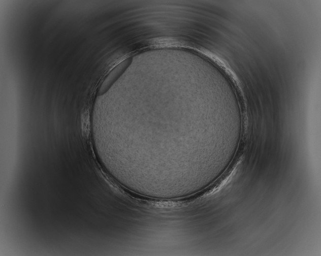 X0000094790897200712141635