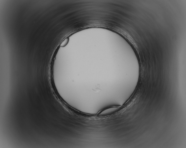 X0000094790898200712141635