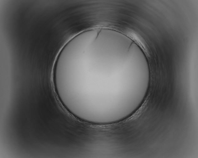 X0000094790900200712141635