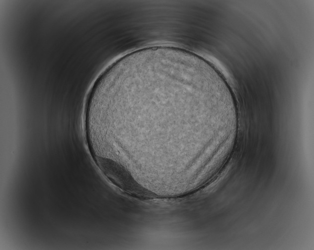 X0000094790910200712141635